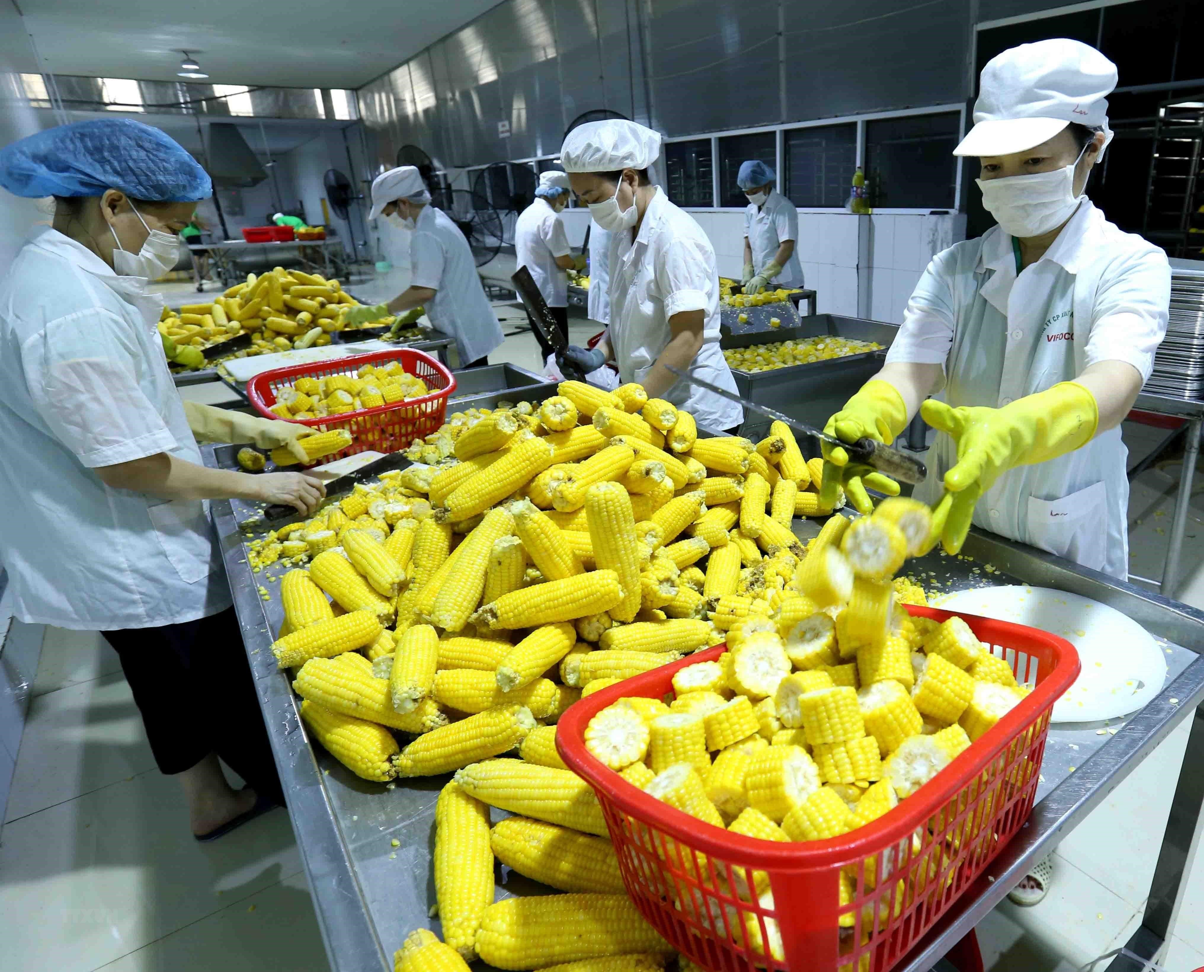 Le Vietnam appelle à plus d investissements de l UE dans l agriculture